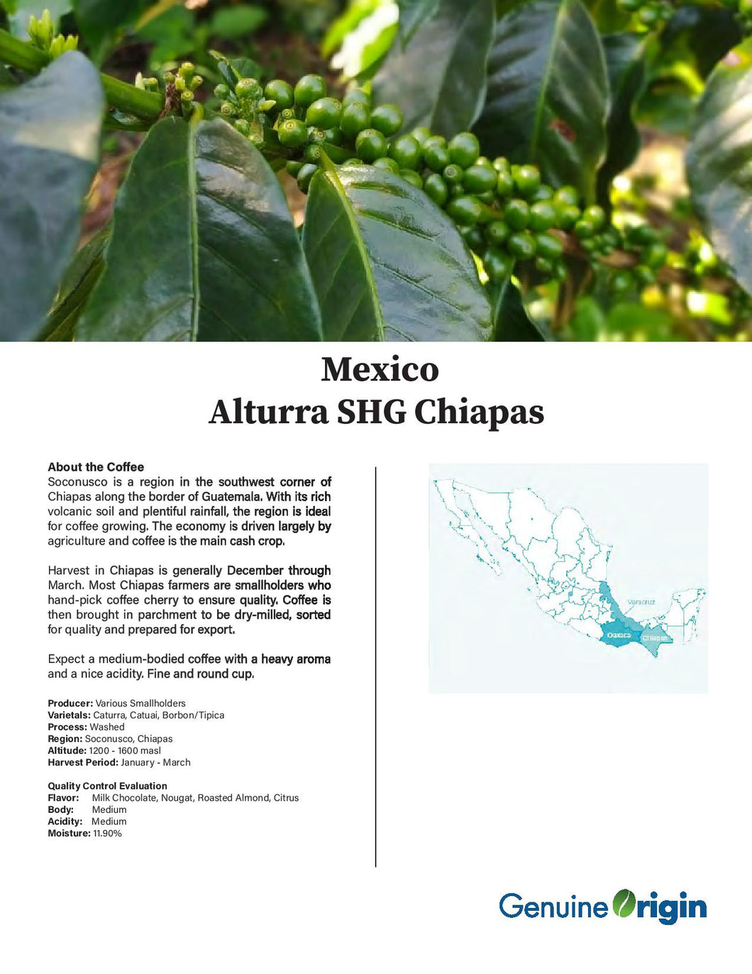 Mexico Chiapas